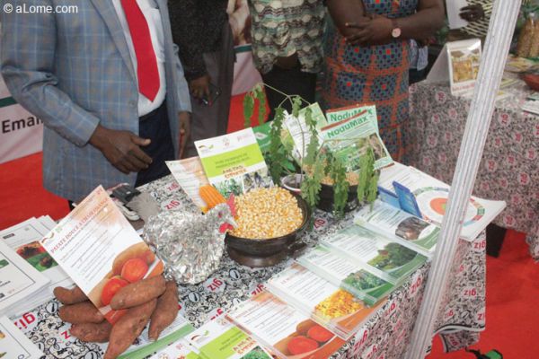 Le Togo présente son projet de caractérisation des sols lors de la 12ème édition du Forum National du Paysan Togolais (FNPT)