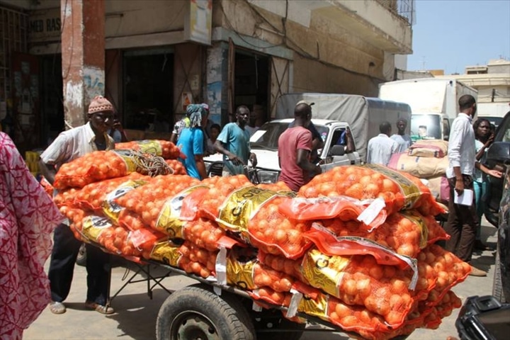 Sénégal : L’activité économique se bonifie de 9,2% en décembre