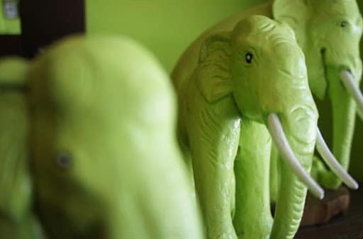 L’éléphant ivoirien se prépare au régime des obligations vertes