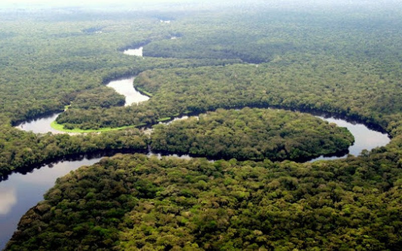 Bassin du Congo : enjeux autour de la validation de 215 des projets de développement
