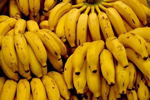 Face au Covid-19, les producteurs africains de bananes s’engagent pour un approvisionnement continu tout en garantissant la santé de leurs employés