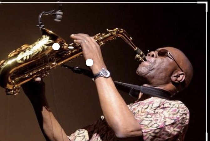 Coronavirus : Manu Dibango mort des suites du Covid-19