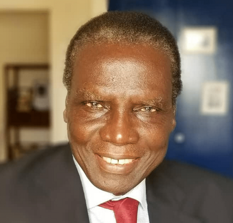 Kémi Seba, Guy Marius Sagna et l’autoritarisme dans l’espace CEDEAO