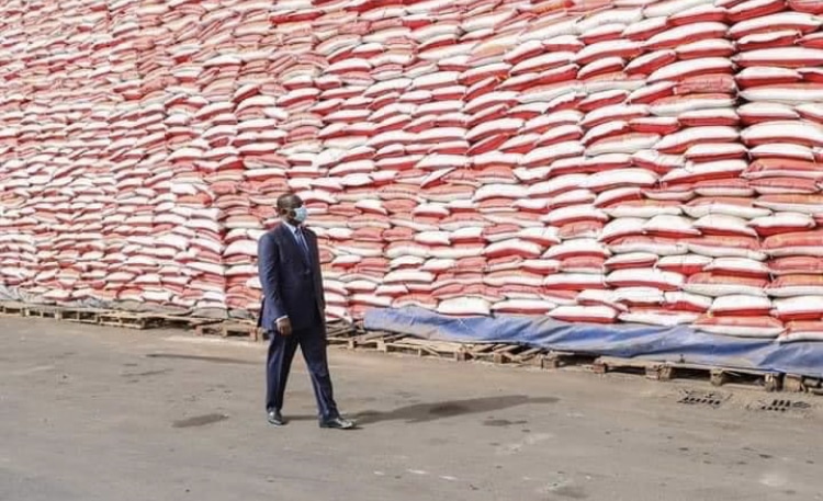 Covid-19 : le Sénégal organise une vaste opération de distribution de denrées