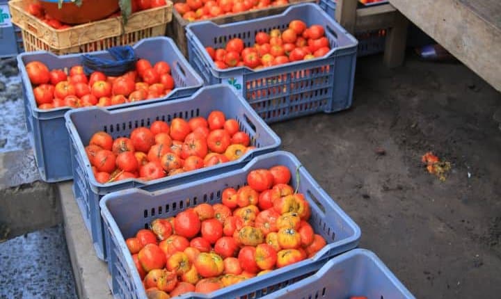 RDC: 1.000 tonnes de vivres du Programme alimentaire d&rsquo;urgence bientôt à Kinshasa