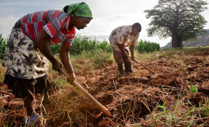 Covid-19 : la RDC met en place un mécanisme d’approvisionnement en produits agroalimentaires