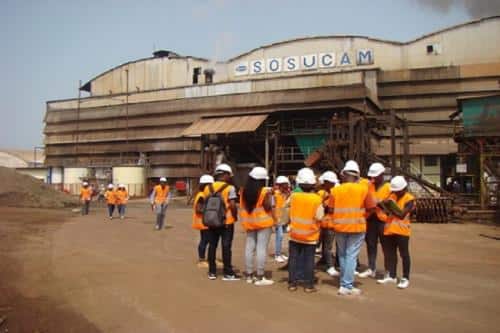 Cameroun : la SOSUCAM annonce un plan d’investissement de 93 milliards de FCFA