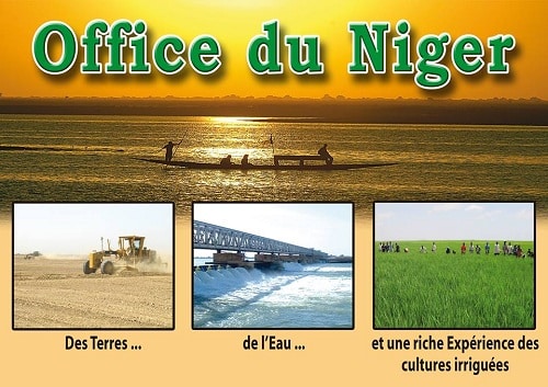 Mali : l’Office du Niger met 5OOO hectares à la disposition de la diaspora