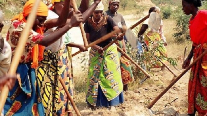 Cameroun : 44 milliards de FCFA de la Banque mondiale pour l’autonomisation des femmes