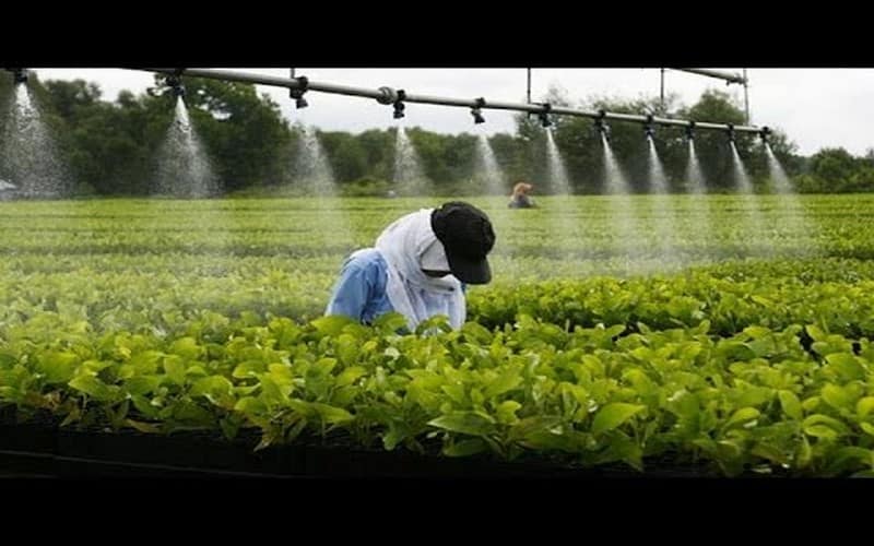 Agro-industrie: 1 million de dollars pour les PME Est-africaines