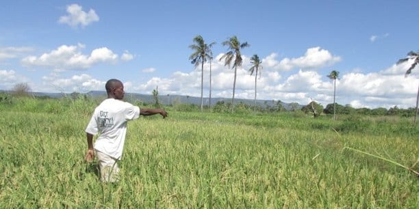 Togo : vers un projet national d’assurance agricole pour renforcer la résilience du secteur