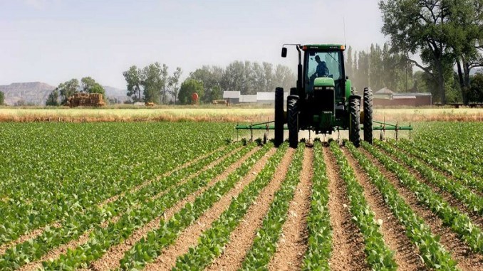 Bluebird signe un projet agricole de 180 millions d’euros pour la Côte d’Ivoire