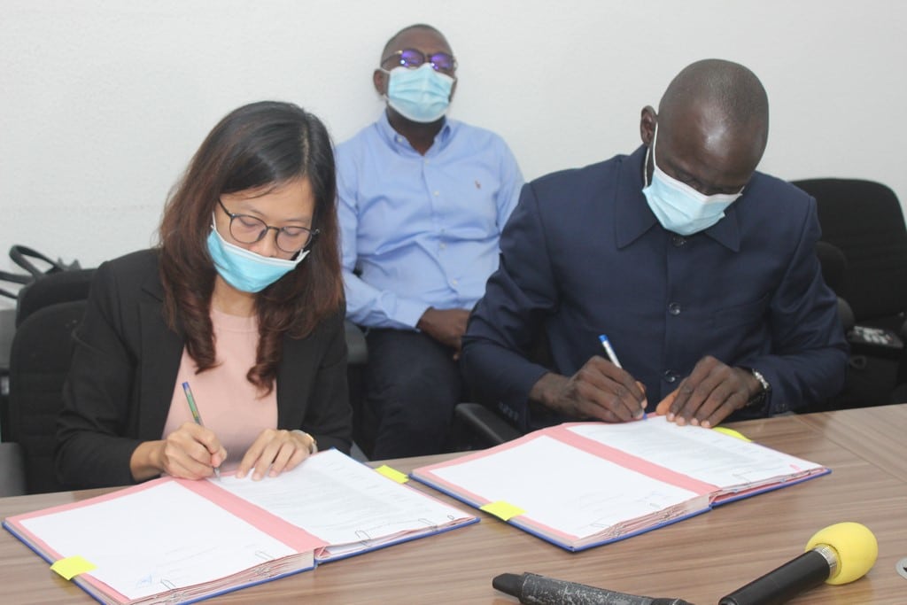 Côte d’Ivoire: un contrat d’achat qui tombe à pic pour les producteurs de noix de cajou
