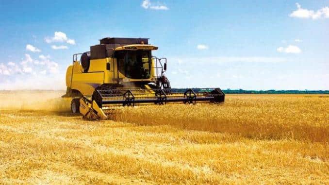 Le Maroc s’attend à une production céréalière estimée à 4,4 millions de tonnes en 2025