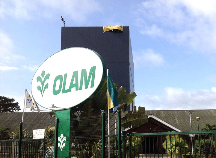 Huile de Palme : Olam Palm Gabon obtient 150 millions de dollars de la Banque mondiale