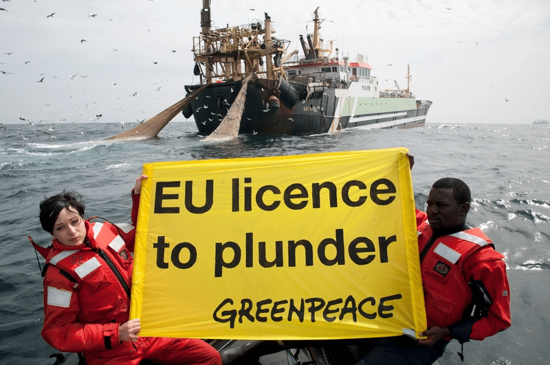 L’Europe veut le poisson du Sénégal mais rejette ses migrants (Greenpeace)