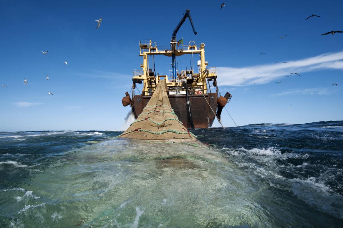 Nouakchott maintient une convention de pêche jugée illégale