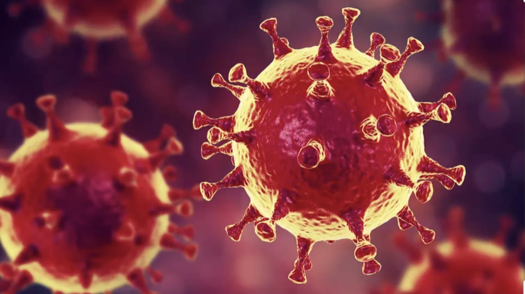 Coronavirus: la variante de Londres douche les espoirs du vaccin