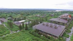Cameroun : vers la réhabilitation de l’ex société de Cellulose
