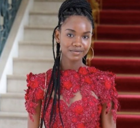 Diary Sow, la meilleure élève du Sénégal, portée disparue en France