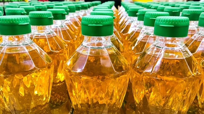 Cameroun : vers un rebond de la production de l’huile de palme