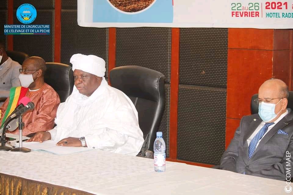 Mali : des concertations nationales pour reformer le secteur agricole