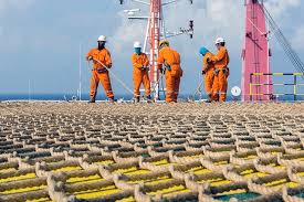 Gabon-Guinée équatoriale: Panoro Energy rachète les actifs de Tullow