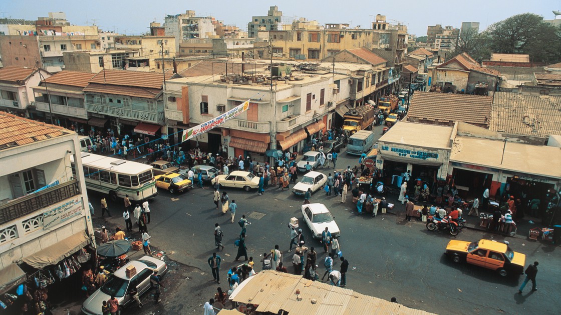 Sénégal : Forte hausse des immatriculations d’entreprises à fin novembre 2020