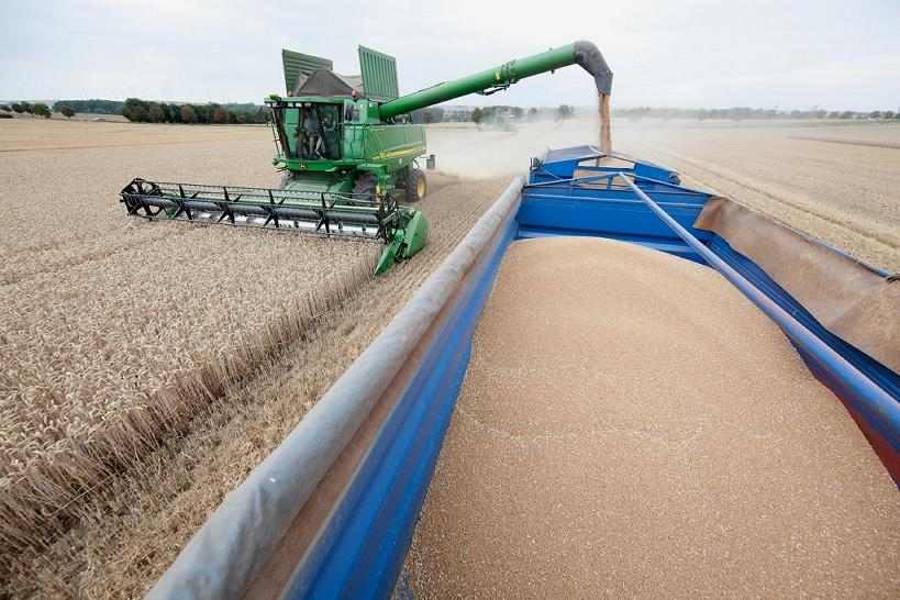 Sénégal : Baisse de 120.224 tonnes de la production céréalière en 2019-2020