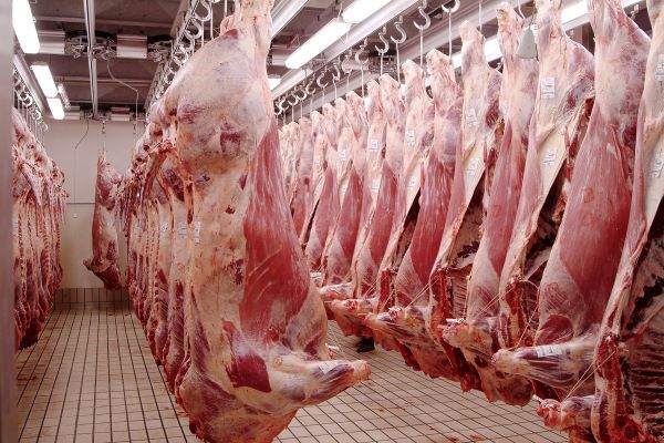 Sénégal : Baisse de 1738 tonnes  des abattages contrôlés de viande en 2020
