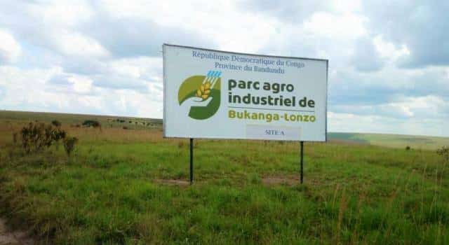 RDC : 6.000 tonnes de maïs produites au parc agro-industriel de Bukanga Lonzo après sa relance en août 2020