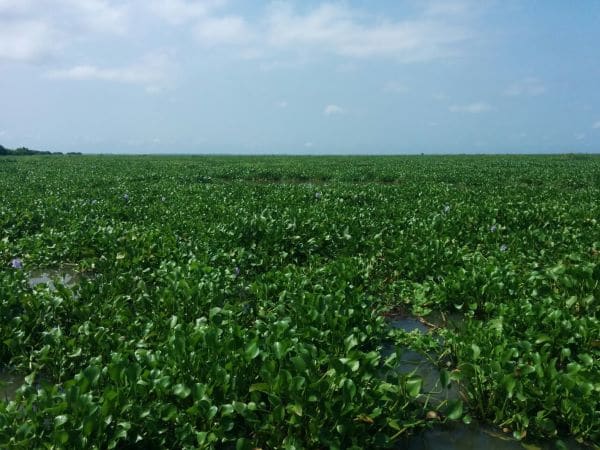 Bénin Terminal déploie une initiative éco-responsable avec Green Keeper Africa