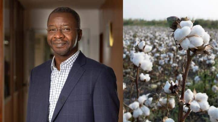 Côte d’Ivoire : Jean François Touré devient le nouveau directeur général d’Olam-Coton