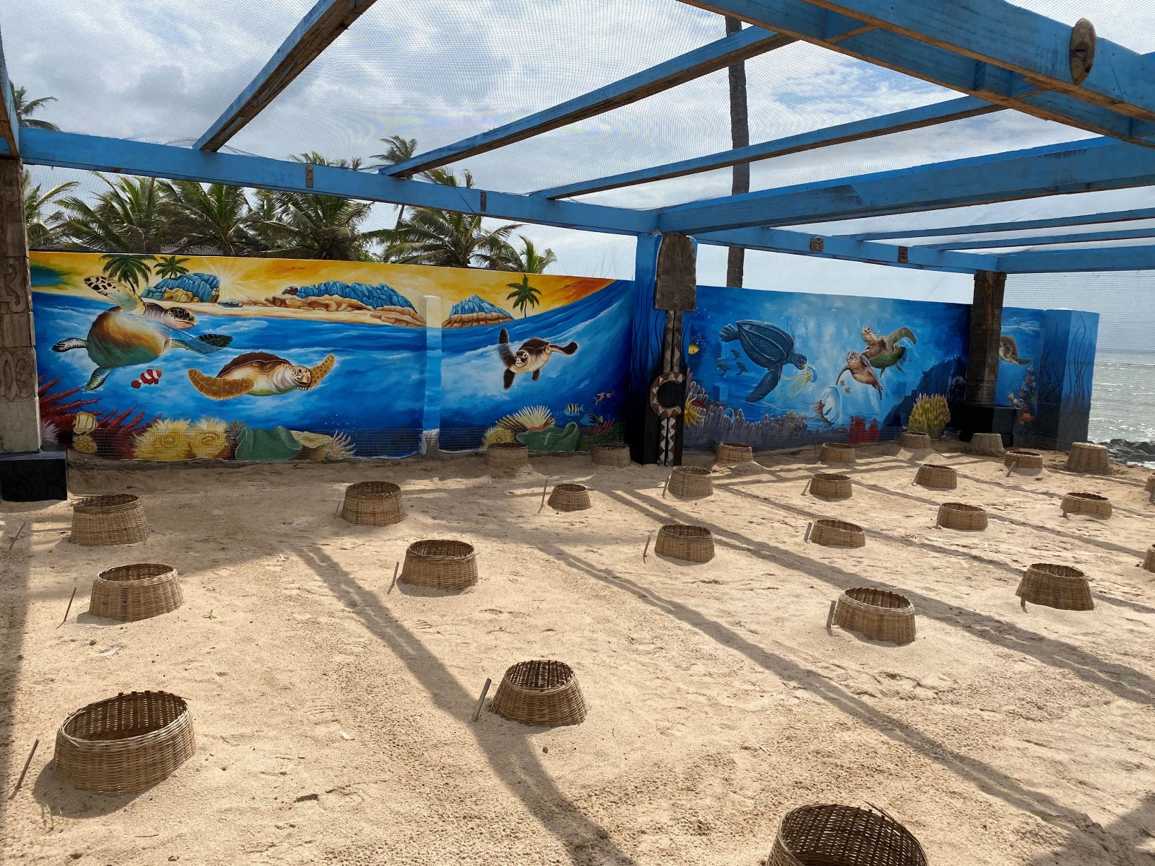 Bolloré Ports engagé dans la préservation des tortues marines en Afrique