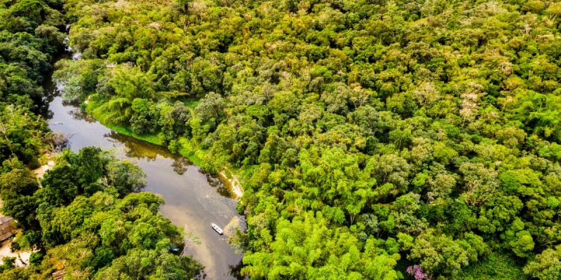 45 millions d’euros pour soutenir le Congo dans ses stratégies de préservation des ressources naturelles