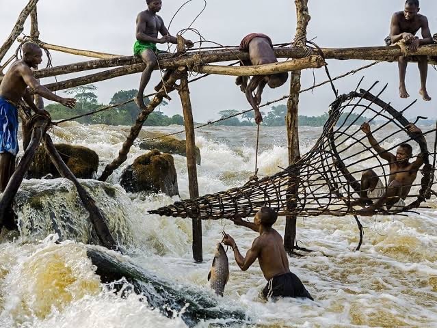 La RDC recherche des investisseurs pour son potentiel halieutique