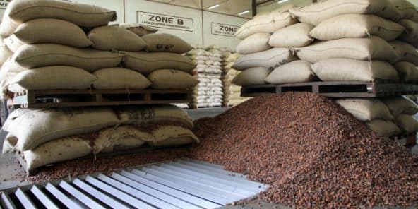 Cameroun : hausse des exportations des matières premières