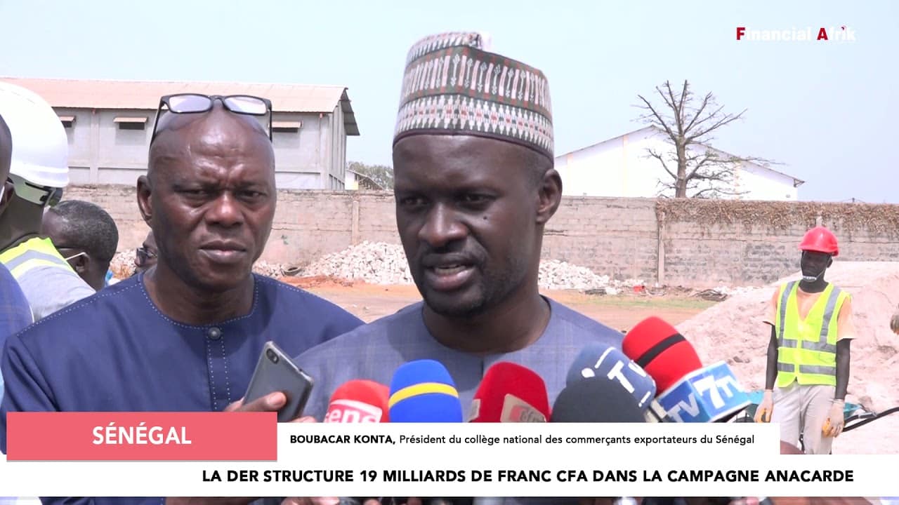 Sénégal, la DER structure 19 milliards de Franc CFA dans la campagne anacarde