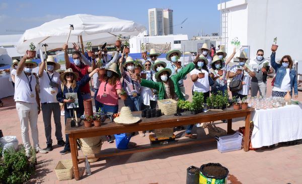 Green Day Attijariwafa bank: « initiation à l’agriculture urbaine » À l’occasion de la Journée mondiale de l’Environnement