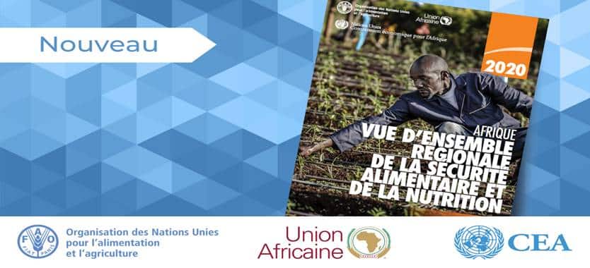 Un nouveau rapport révèle que les fruits, les légumes et les protéines restent hors de portée pour la plupart des Africains
