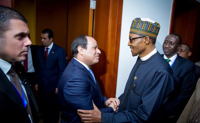 Les échanges commerciaux entre l&rsquo;Égypte et le Nigéria atteignent 181 millions de dollars en 2020