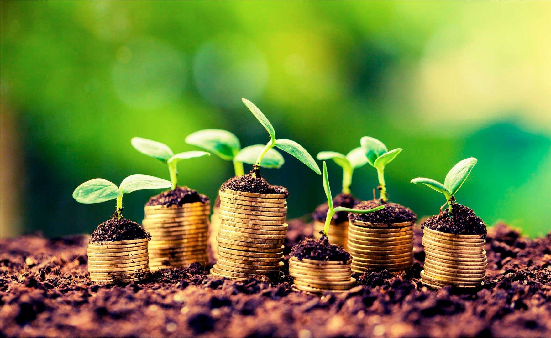 Proparco investit 10 millions USD dans une obligation verte destinée à améliorer l’accès aux énergies renouvelables en Afrique