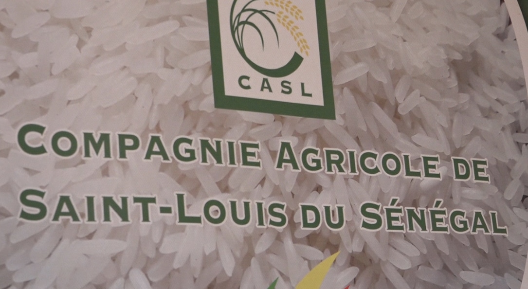 Sénégal: la Compagnie Agricole de Saint -Louis en crise
