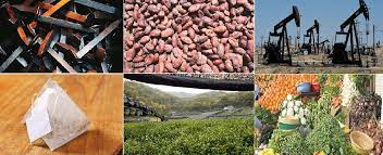 CEMAC : hausse des cours des produits d’exportation
