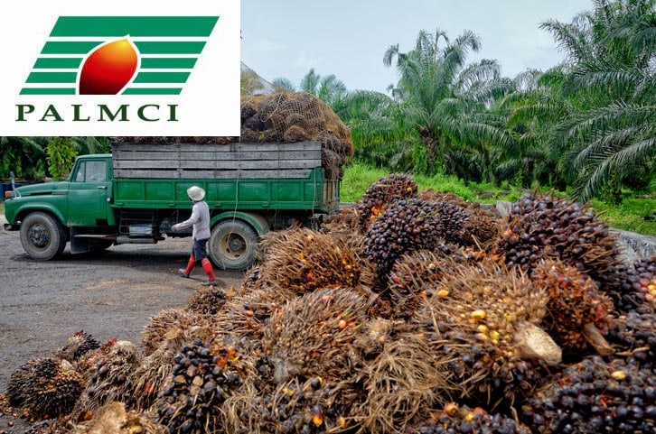 Agriculture : Grand bond du résultat net de Palm Côte d’Ivoire au troisième trimestre 2021