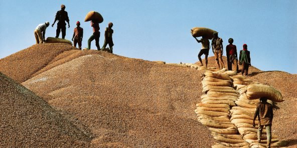 Sénégal : l’ITFC renfloue les caisses de la Sonacos