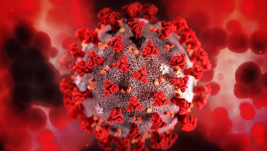 Covid-19: En France Métropolitaine,  le premier cas de variant Omicron vient du Nigeria