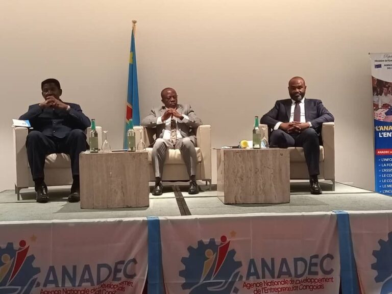 La RDC crée une agence pour un soutien « intensif » aux PME et à l’artisanat
