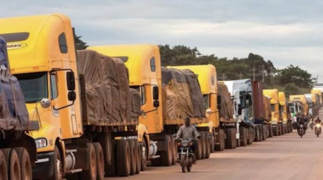 Tchad : vers une bancarisation des Lettres de Véhicules Obligatoires (LVO)
