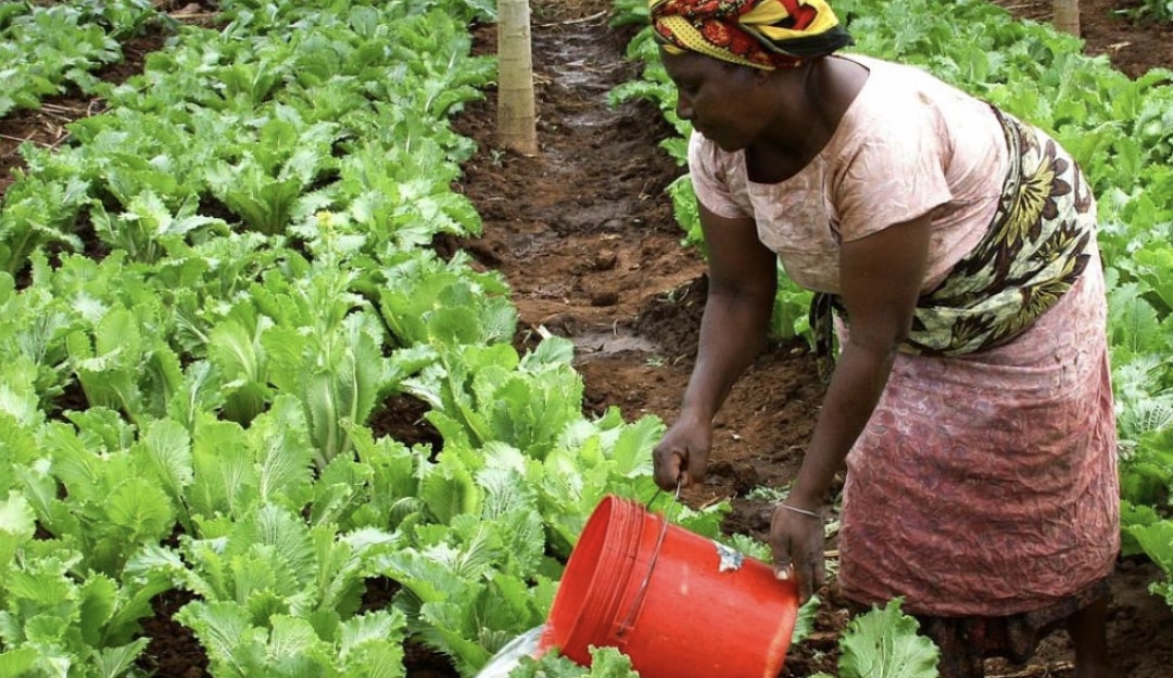 Congo : vers une accélération du développement de la production locale